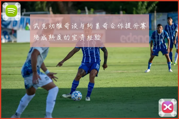 武克切维奇谈与约基奇合作提升赛场成熟度的宝贵经验