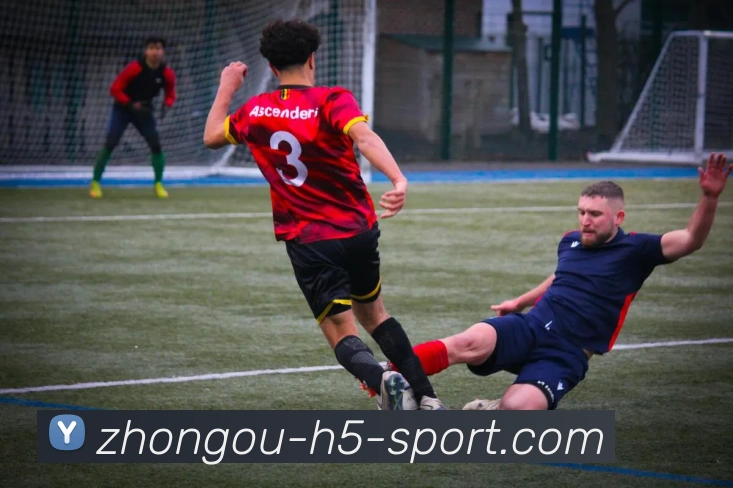 中欧体育平台生态图