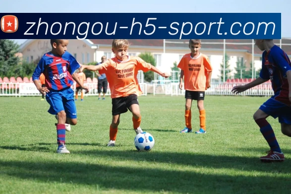 中欧体育全站App